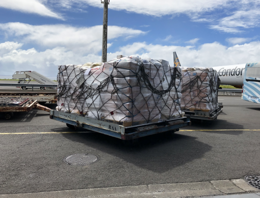 Fret Aéroport Réunion Roland Garros Export