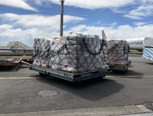 Fret Aéroport Réunion Roland Garros Export 