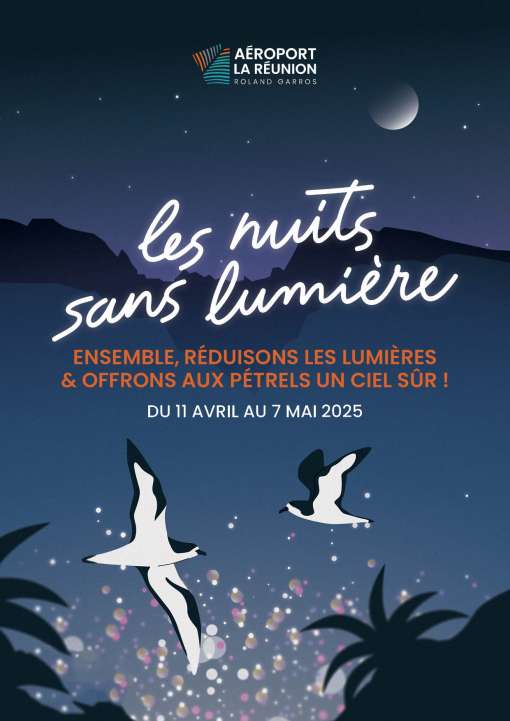 Les Nuits sans lumière 