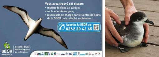 SEOR Nuit sans lumière