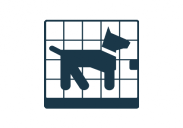 cage de voyage animaux