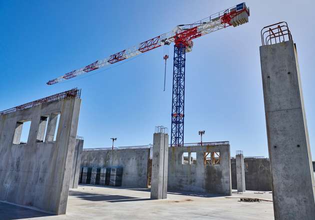 grues