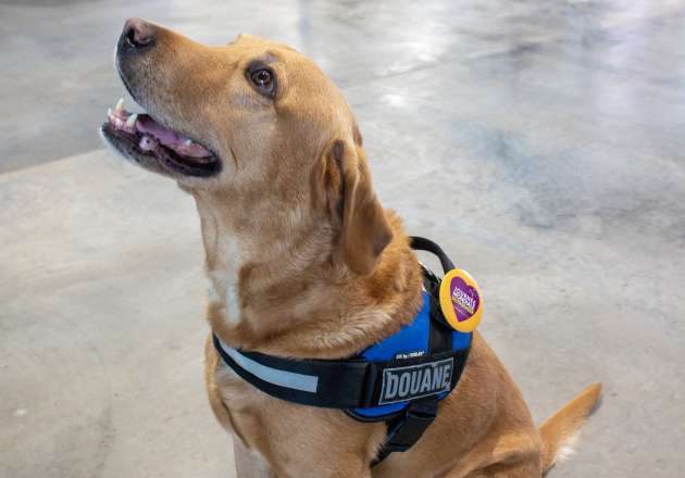 journée du passager 