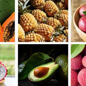Fruits frais