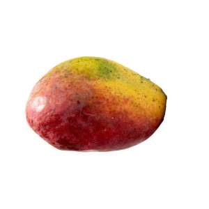 mangue