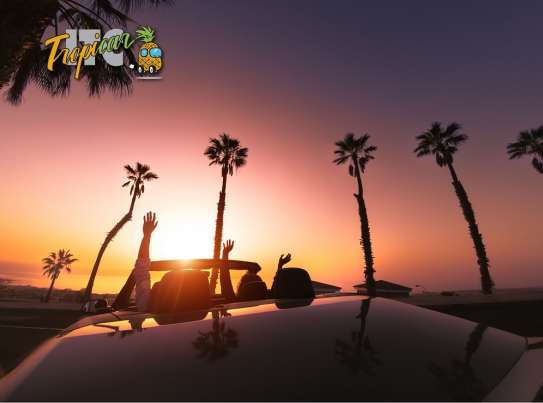 itc tropicar