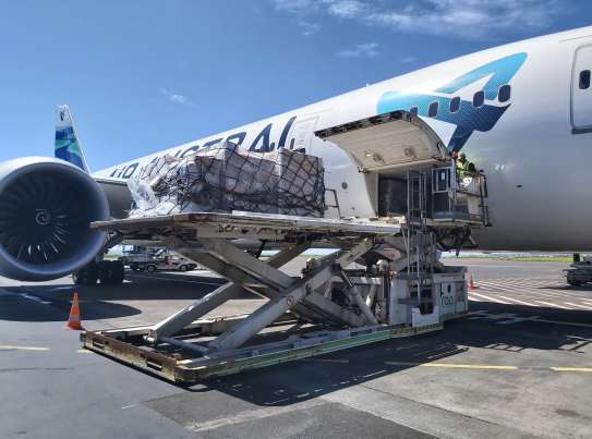 Air Austral Aéroport Fret de la Réunion Roland Garros 